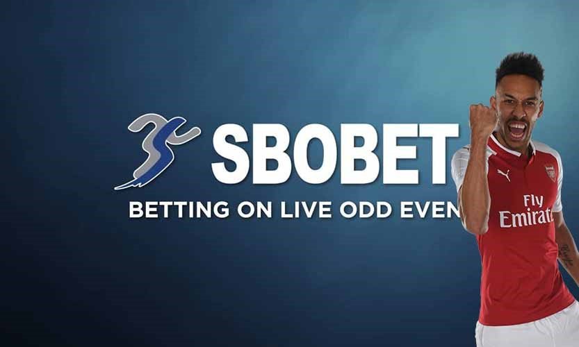 เว็บพนันออนไลน์ SBOBET ดีไหม